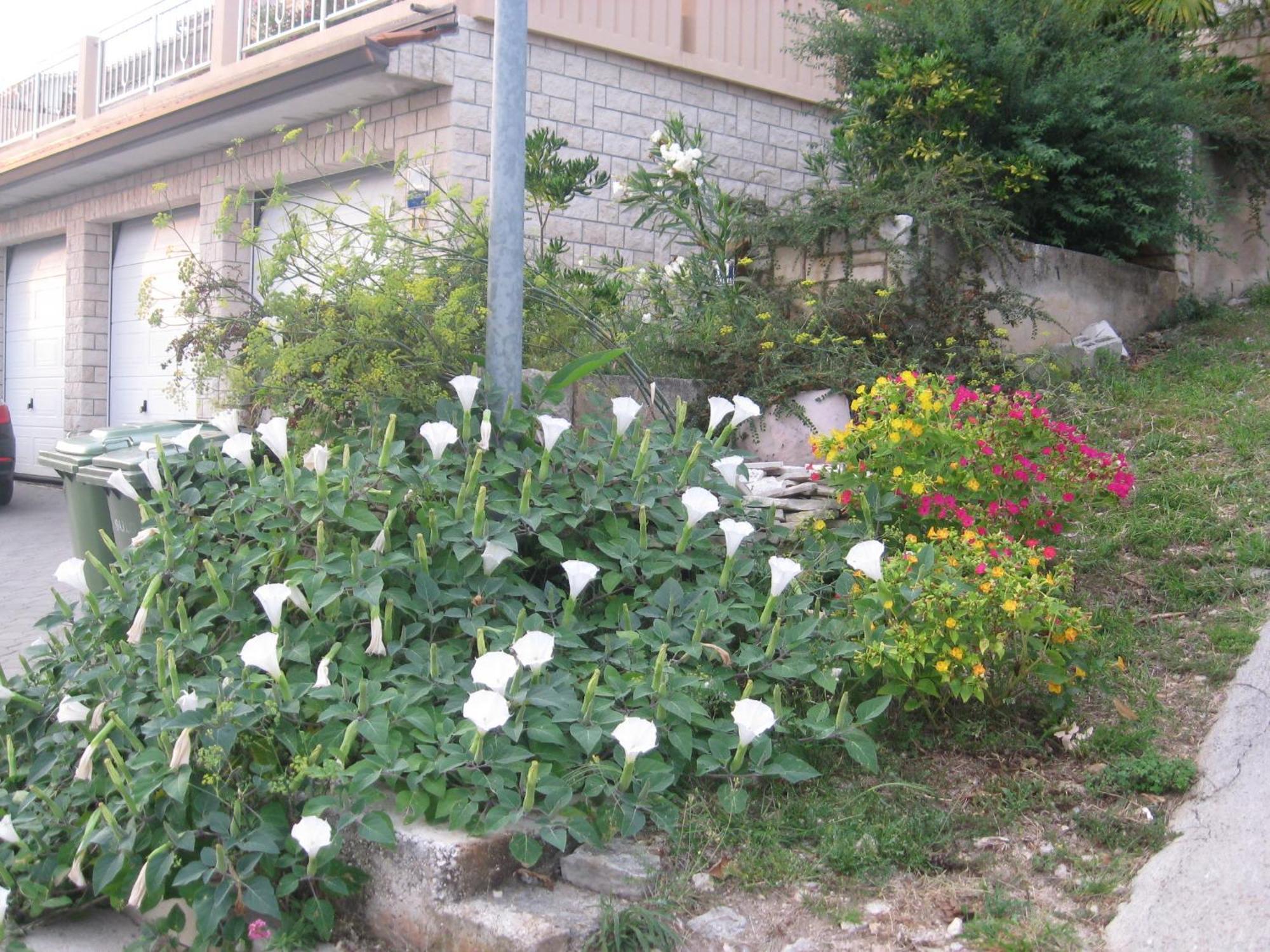 Apartments Silmare Rabac Pokój zdjęcie